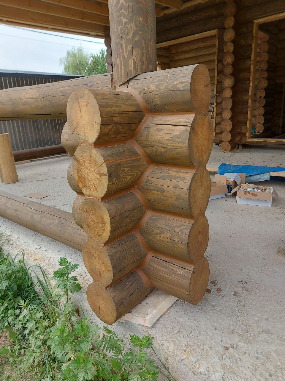 photo_2024-03-25_10-55-31