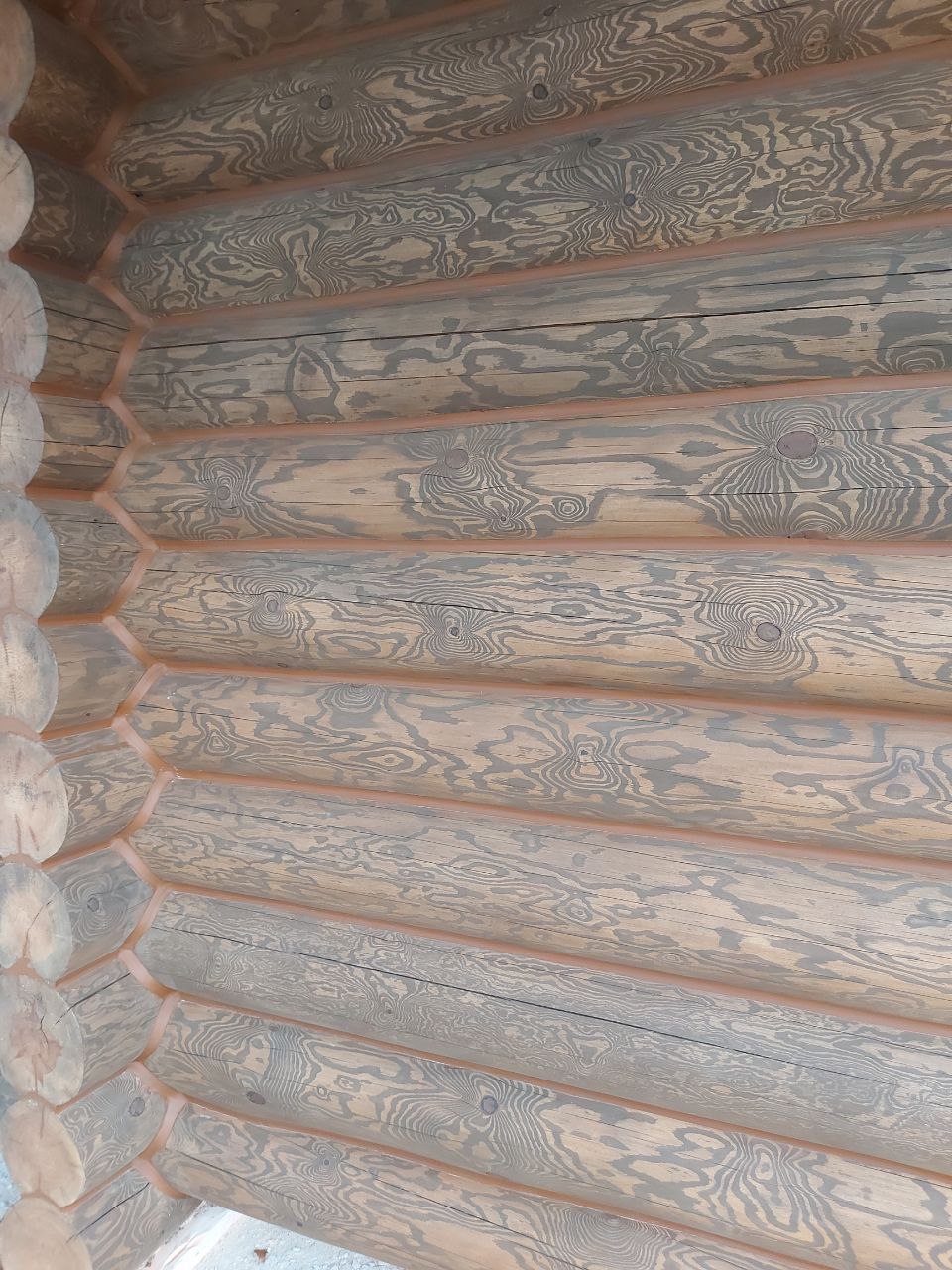 photo_2024-03-25_10-55-35